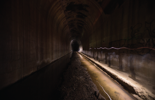 Illustration for article titled The world beneath the sidewalk